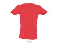 T-SHIRT MASTER SCOLLO A V